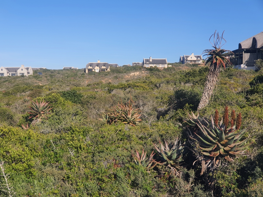 0 Bedroom Property for Sale in Boggomsbaai Western Cape
